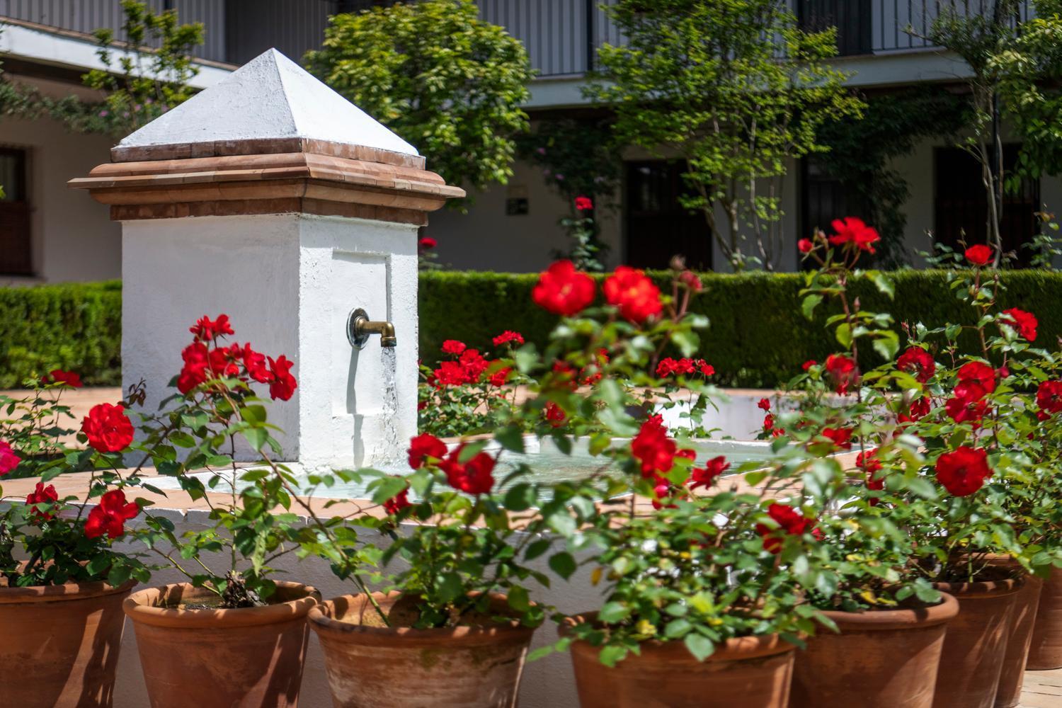 Magno Apartments San Laureano - Private Parking Included Севилья Экстерьер фото
